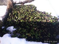 IMG_20180409_104157.jpg