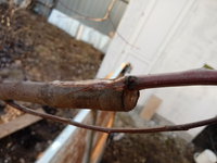 20180414_181256.jpg