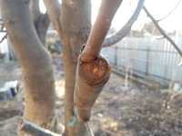 20180414_181316.jpg
