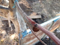20180414_181404.jpg