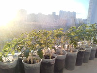 20180413_191526.jpg