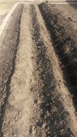 20180413_155415.jpg