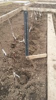 20180417_183028.jpg