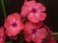 DSC03142.JPG
