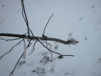 IMG_5304.JPG