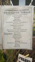 л1.jpg