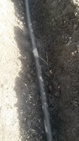 20180413_153159.jpg