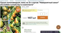 лох1кол.JPG