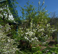 P1270230.jpgc.jpg