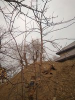 IMG_20180424_174350.jpg