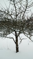2018-01-15 16-39-50.JPG