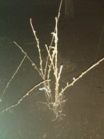 IMG_20180427_215330.jpg