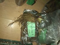IMG_20180427_223839.jpg