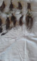 20180428_143655-2.jpg