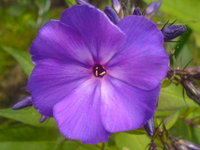 DSC03150.JPG