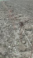 IMG-20180420-WA0001.jpg