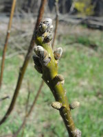 DSC05483.JPG