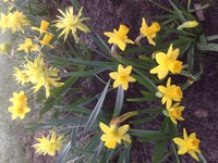 IMG_0239.JPG