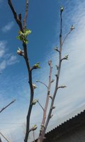 20180502_093012.jpg