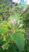 WP_20180501_003.jpg
