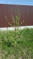 20180502_101741.jpg