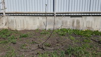 20180502_102825.jpg