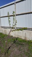 20180502_102807.jpg