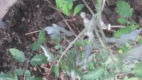20180503_084417[1].jpg