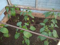 IMG_20180504_192141.jpg