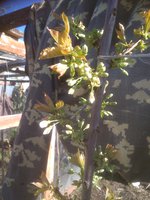 IMG_20180504_073623.jpg