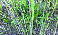 img83.jpg