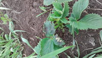 20180505_133759.jpg