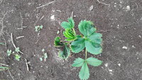 20180505_133812.jpg