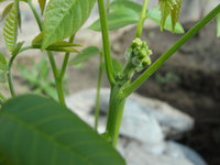 DSC05514.JPG