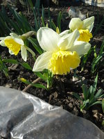 20140420_164154.jpg