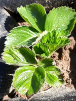 20180509_002341.jpg