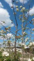 20180510_122717.jpg