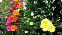 20180507_122843.jpg