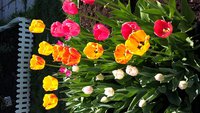 20180507_123010.jpg