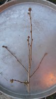 20180510_190618.jpg