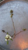 20180510_190628.jpg