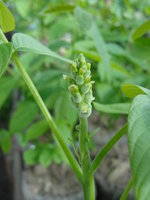 DSC05543.JPG