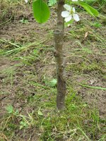 IMG_1246.jpg