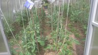 IMG-20180518-WA0018[1].jpeg