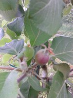 IMG_20180519_103220.jpg