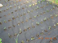 DSCN6831.JPG