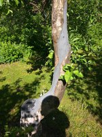 IMG_20180525_092434-min.jpg