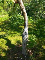 IMG_20180525_092443-min.jpg