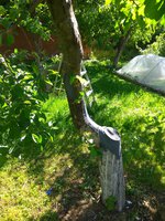 IMG_20180525_092451-min.jpg