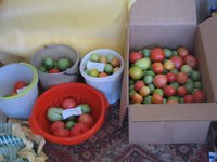IMG_5270.JPG